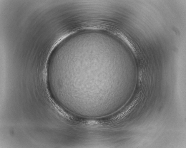 X0000116010787200912031528