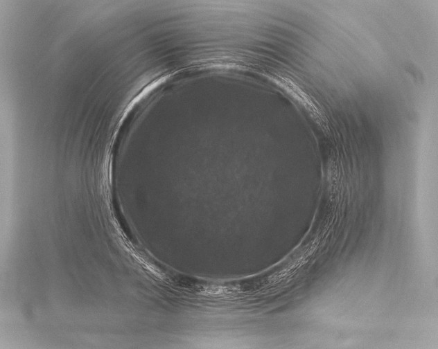 X0000116010790200912031528