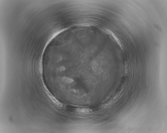 X0000116010795200912031528