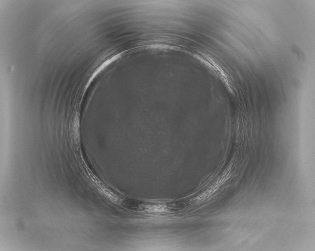 X0000116010798200912031528