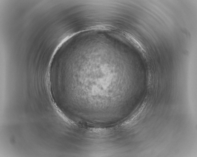X0000116010800200912031528