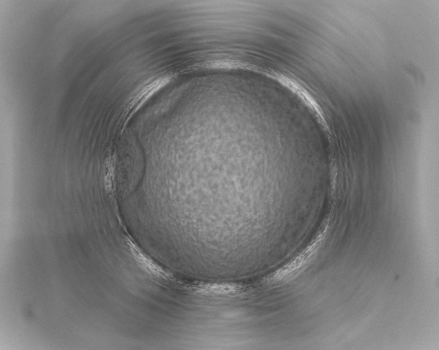 X0000116010801200912031528