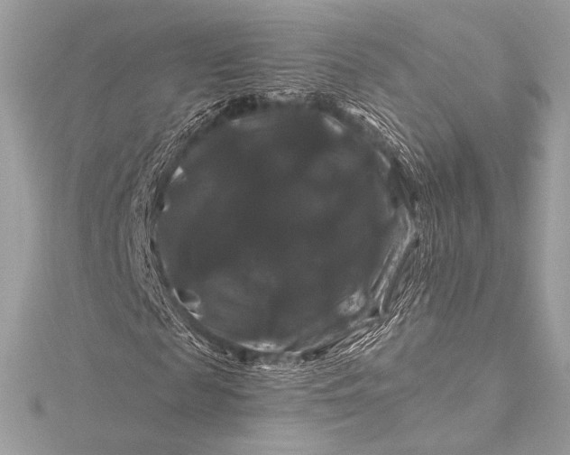 X0000116010817200912031527