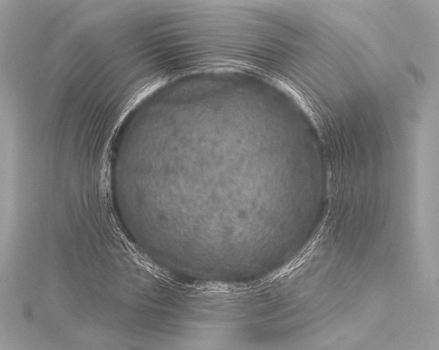 X0000116010827200912031528