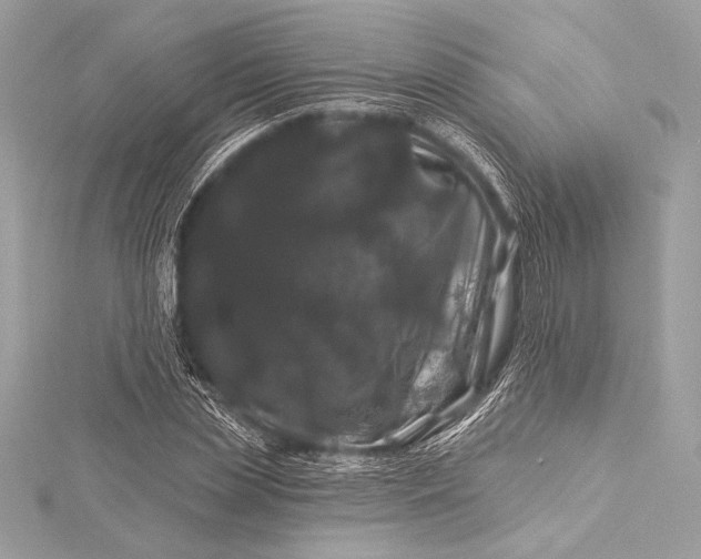 X0000116010829200912031528