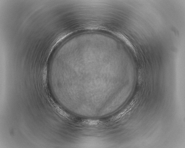 X0000116010831200912031528