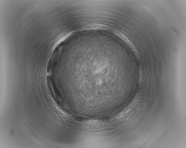 X0000116010834200912031528