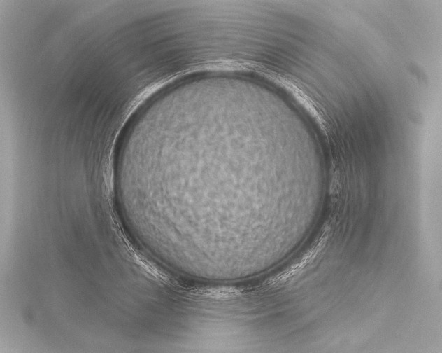 X0000116010837200912031528