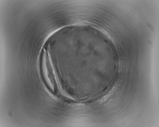 X0000116010838200912031528