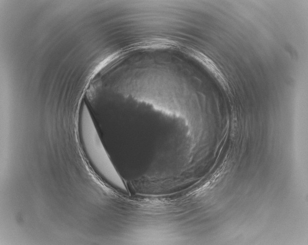 X0000116010850200912031528