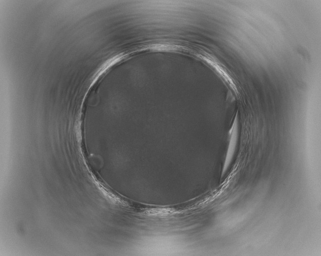 X0000116010853200912031528