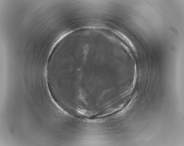 X0000116010855200912031528