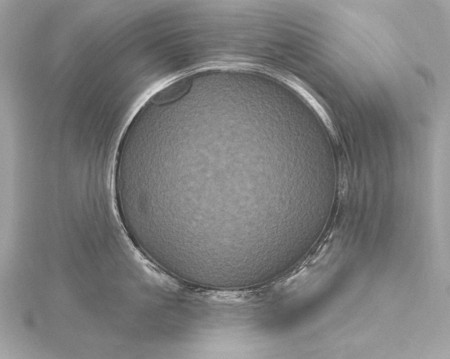 X0000116010861200912031528