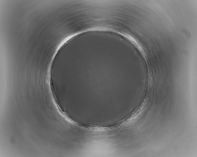 X0000116010862200912031528