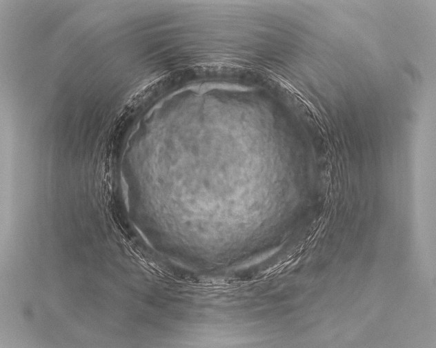 X0000116010870200912031527