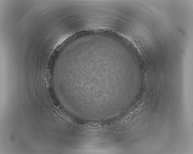 X0000116010871200912031527