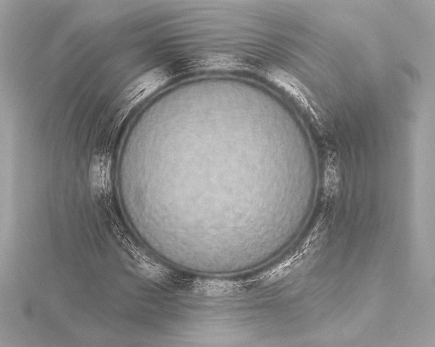 X0000116010873200912031527