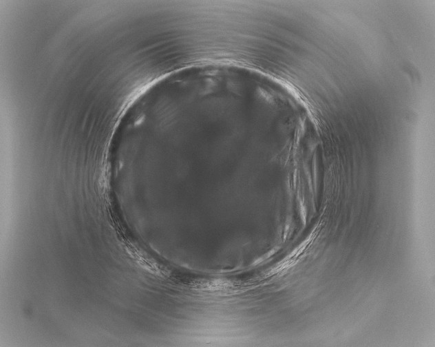 X0000116010879200912031527