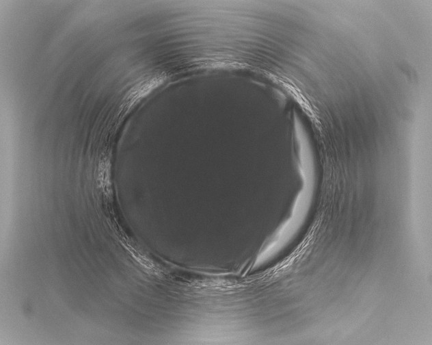 X0000116010881200912031527