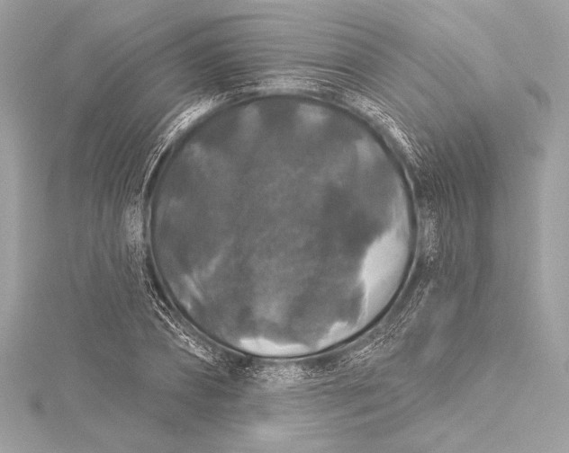 X0000116010882200912031527