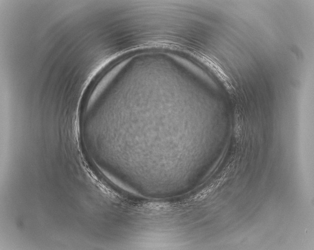 X0000116010888200912031527