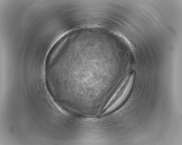 X0000116010894200912031527