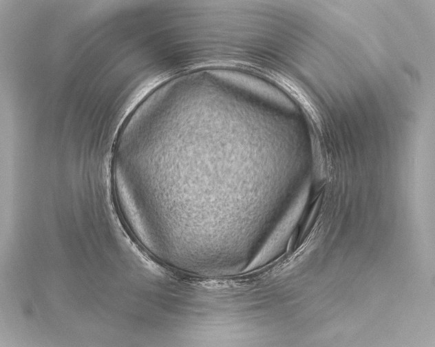 X0000116010906200912031527