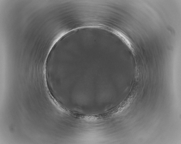 X0000116010907200912031527