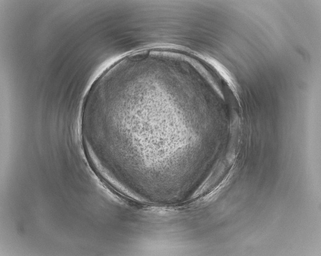 X0000116010910200912031527
