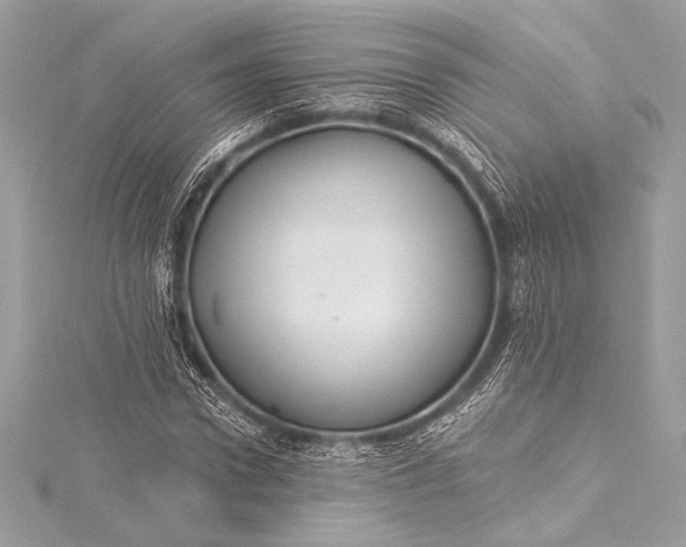 X0000116010922200912031526