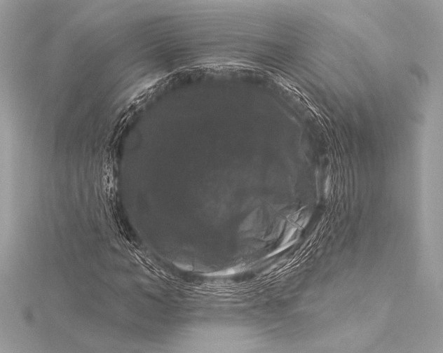 X0000116010966200912031526