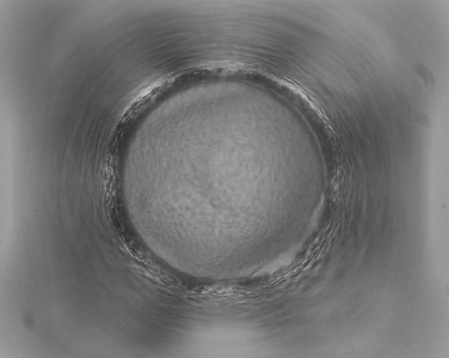 X0000116010967200912031526