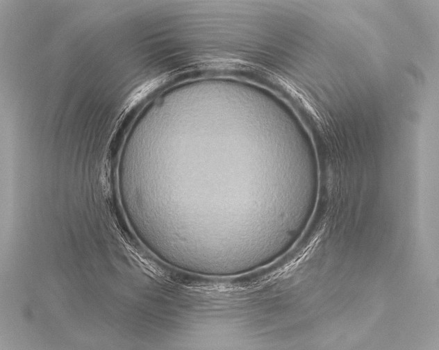 X0000116010970200912031526