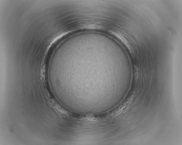 X0000116010971200912031526