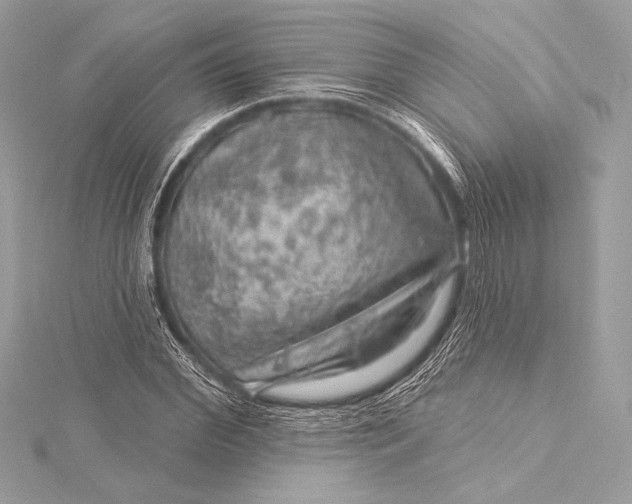 X0000116010972200912031526