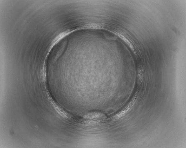 X0000116010981200912031526
