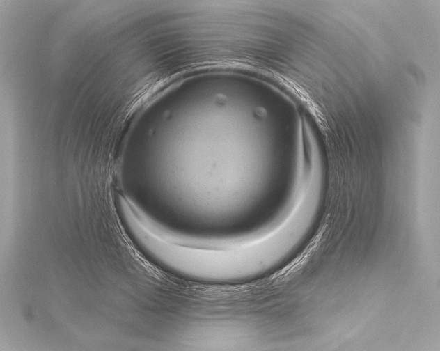 X0000116010985200912031526