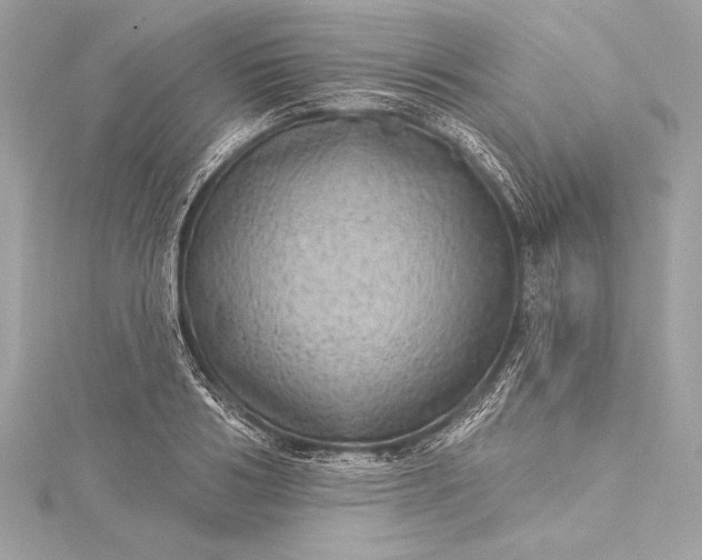 X0000116010986200912031526