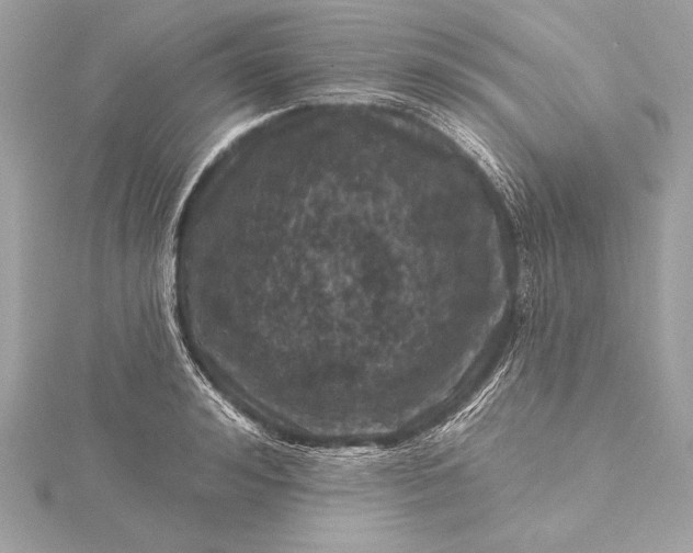 X0000116010992200912031526