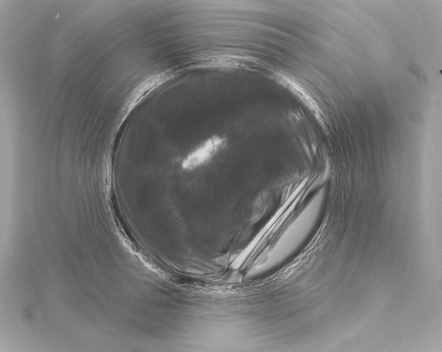 X0000116010994200912031526