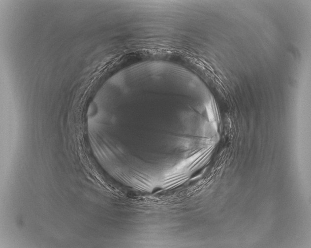 X0000116011009200912031525
