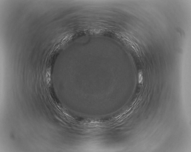 X0000116011011200912031525