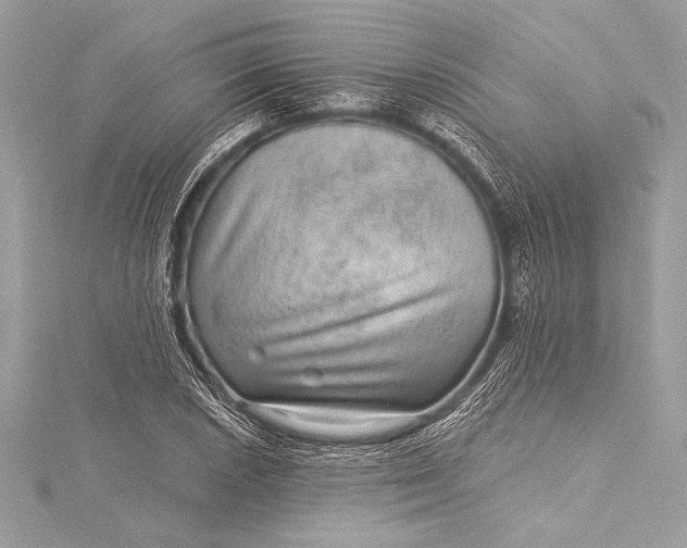 X0000116011026200912031525