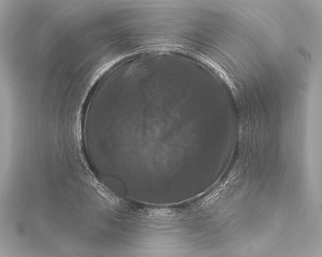 X0000116011031200912031525