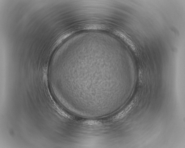 X0000116011033200912031525