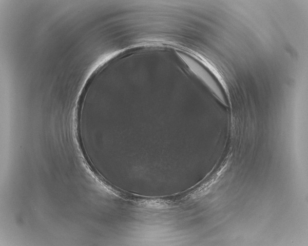 X0000116011045200912031525