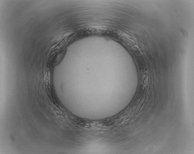 X0000116011061200912031525