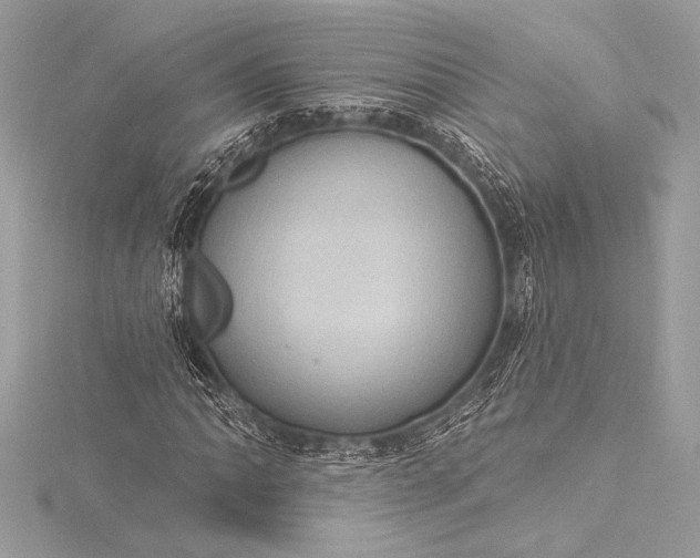 X0000116011062200912031525