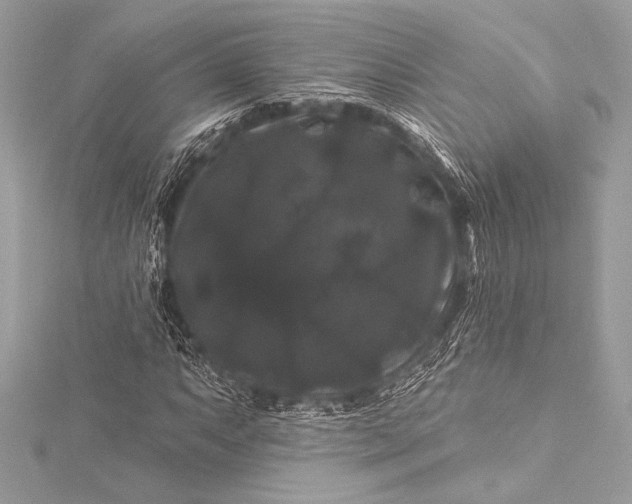 X0000116011063200912031525