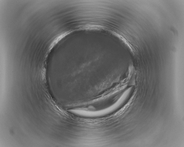 X0000116011066200912031525